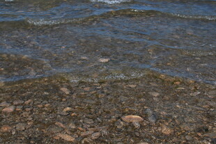 海边浅滩的清澈水波