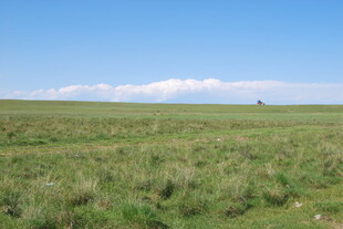 广袤草原 蓝天白云之景