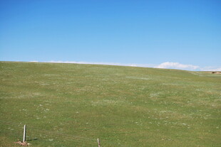 广袤草原 蓝天相伴