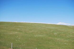 广袤草原蓝天景色