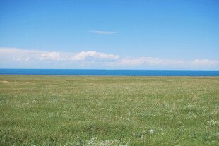 广袤草原与蓝天相接