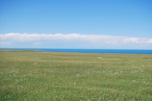 草原蓝天 辽阔自然美景