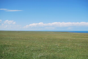 广袤草原与蓝天相接