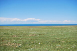 广袤草原与蓝天碧海