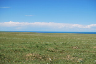 辽阔草原与蓝天相接