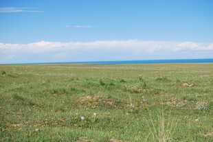 广袤草原 蓝天绿地美景