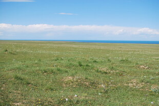 广袤草原与蓝天相接