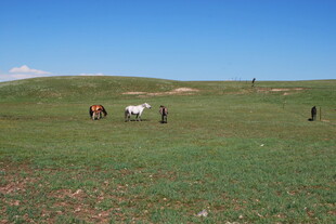 草原上的人马景象