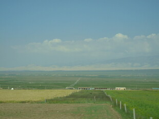 田园风光中的蜿蜒小路