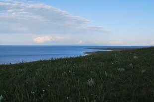 海边草地风光