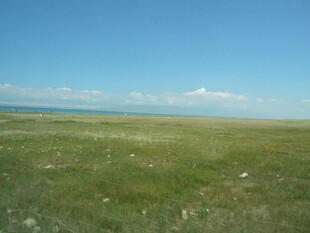 广袤草原与蓝天美景