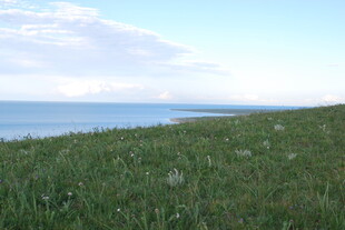 草原与海的美丽风光