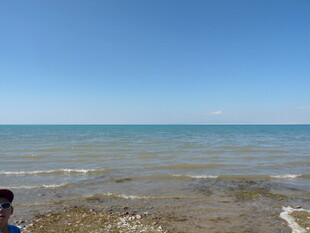 海边孩童赏景画面