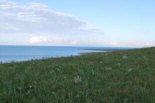 草原与海的美丽风光