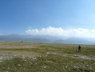 草原旷野中的独行者