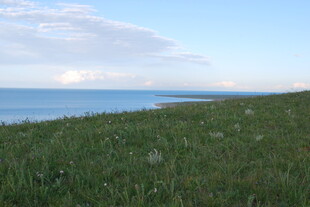 草原边的辽阔蓝色水域