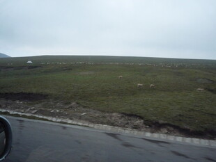 公路旁的开阔草原景色