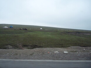 公路旁的开阔草原景象