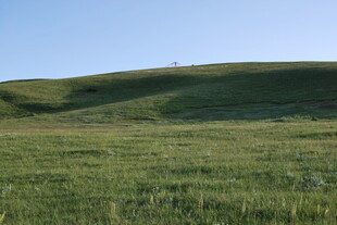 广袤绿草地 自然好风光