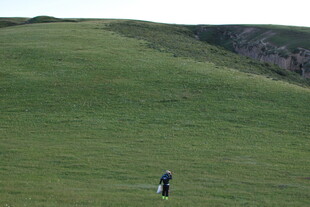 草原上的孤独身影