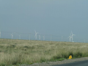 草原上的风力发电机组
