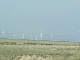 草原上的风力发电机组