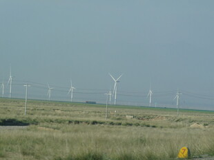 草原上的风力发电机组