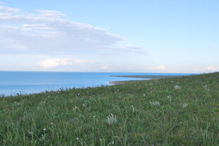草原边的辽阔蓝色水域