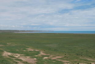 广袤草原与蓝天相接景象