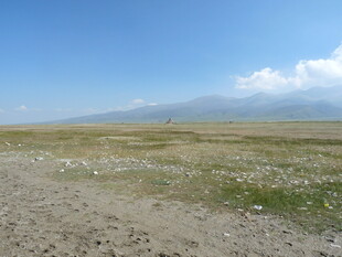 广袤草原 蓝天白云野花