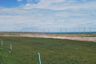 草原上的风力发电设施