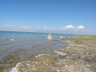 海边浅滩 一人悠然漫步