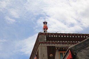 屋顶上的独特身影