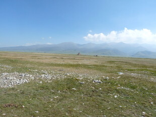 广袤草原与蓝天远景
