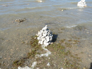 海边堆叠的白色贝壳堆