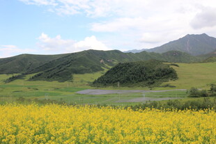 草原花海与远山美景