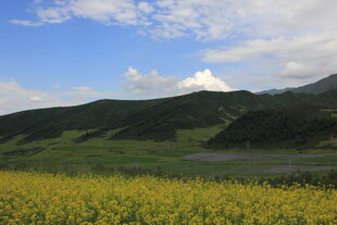 草原花海与远山美景