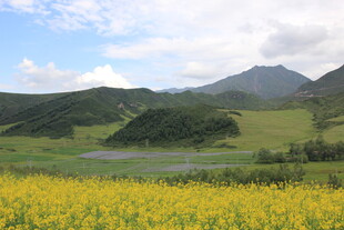 草原花海与远山美景