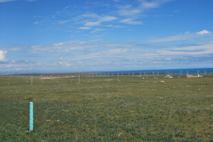 广袤草原上的蓝色标识物