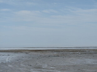 广阔无垠的空旷滩涂景象