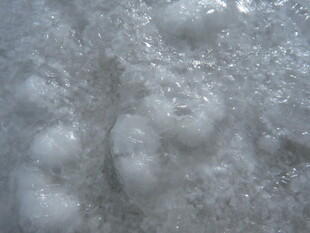 白色蓬松泡沫特写