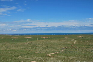 广袤草原与蓝天美景
