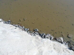 岸边积雪与水边景象