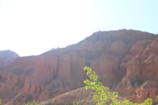 壮丽山景与翠绿植物