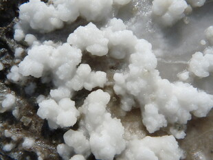 白色块状物特写