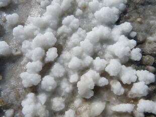 白色颗粒状物体特写