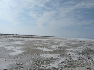 广阔盐碱地景观