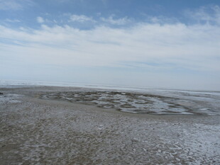 广阔荒凉的盐碱地景观