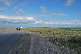 公路边的开阔草原风景