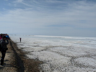 徒步者沿雪地边缘前行